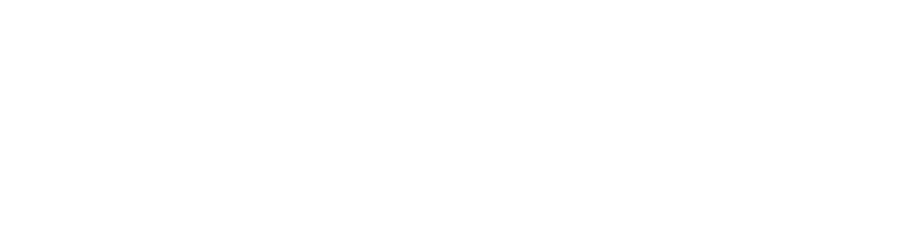 GOZEN LOGO - white